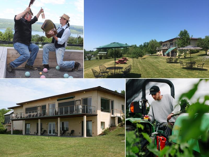 Damiani Wine Cellars