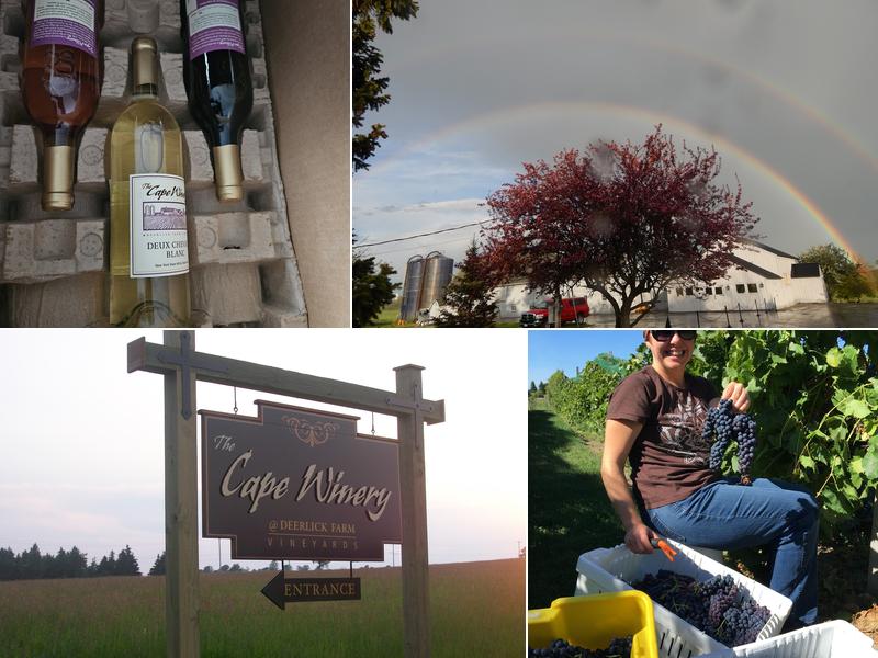 The Cape Winery