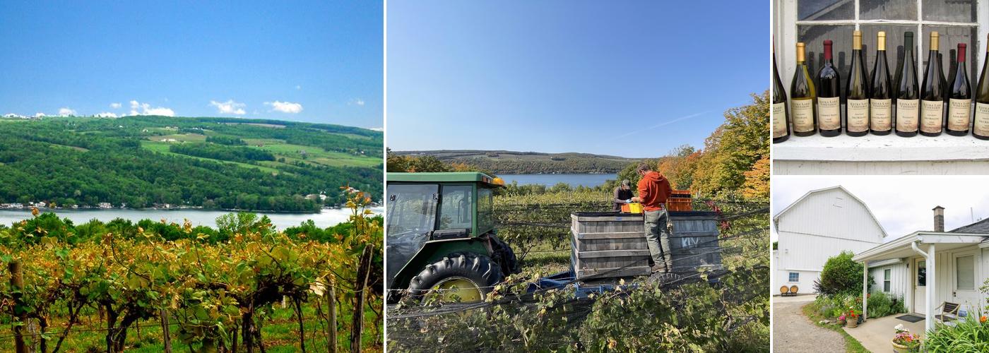 Keuka Lake Vineyards