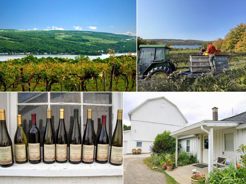 Keuka Lake Vineyards