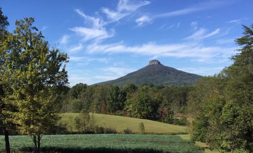 Pilot Mountain Vineyards Wedding Venue Pinnacle