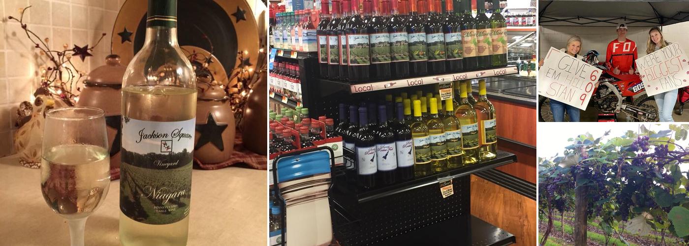 Jackson Square Vineyard