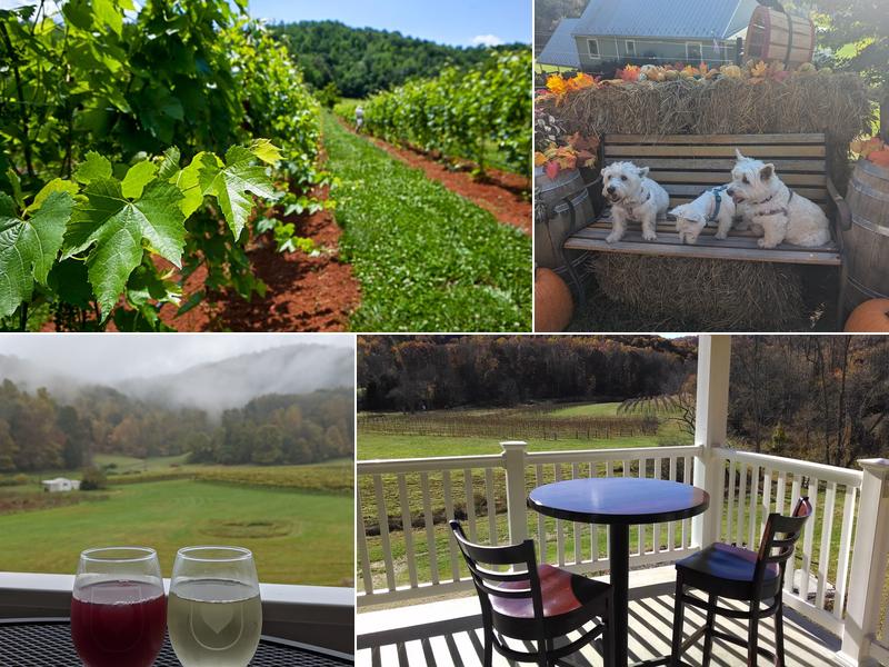 Loving Cup Vineyard & Winery
