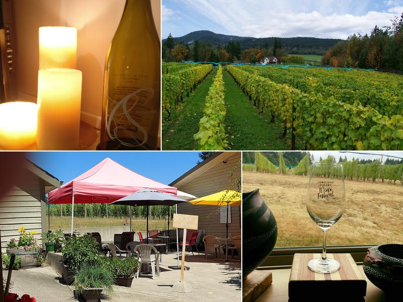 Venturi-Schulze Vineyards