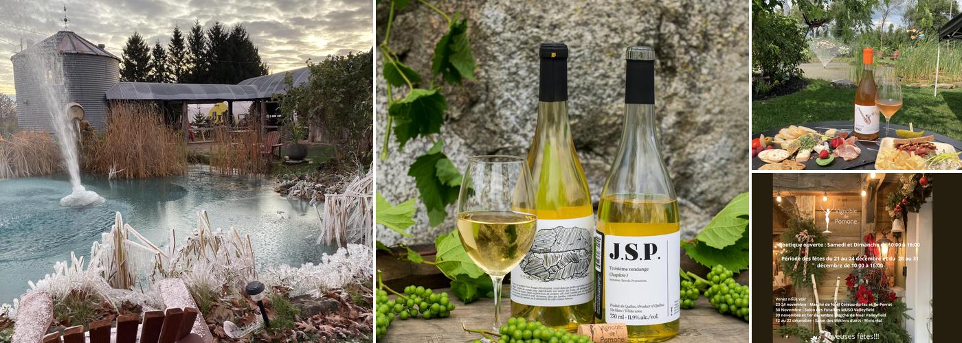 Vignoble de Pomone - Vignoble Coteau-du-Lac