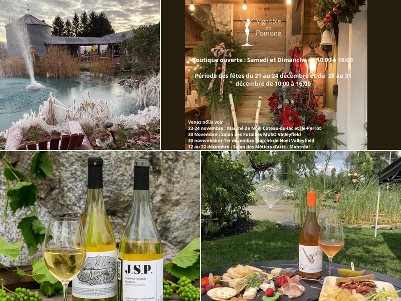 Vignoble de Pomone - Vignoble Coteau-du-Lac