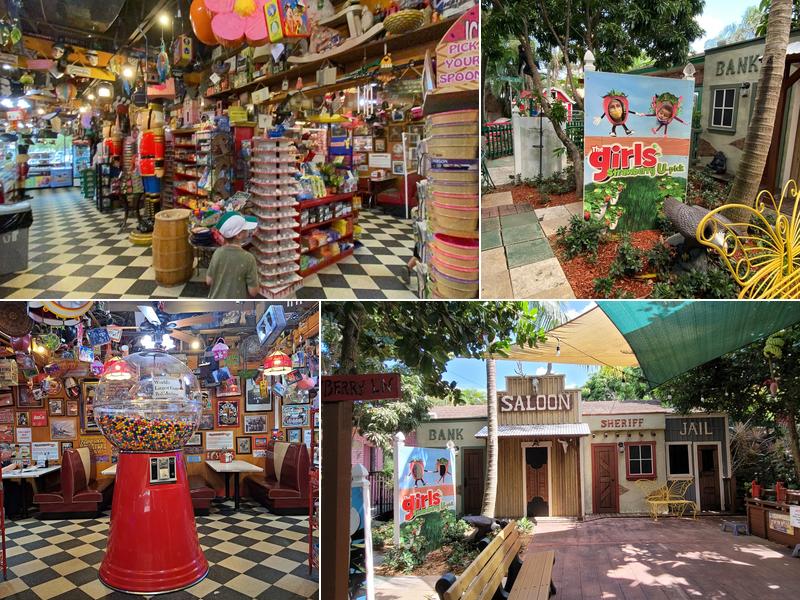 The Girls Strawberry U-Pick 14466 S Military Trl, Delray Beach