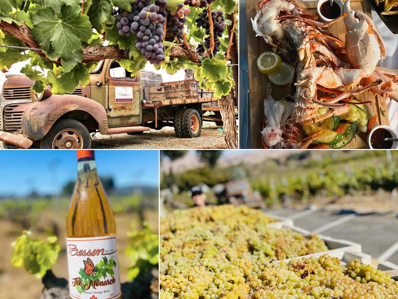 Besson Family Vineyards