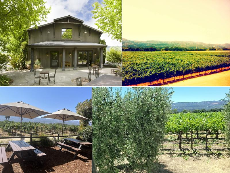 Honig Vineyard & Winery