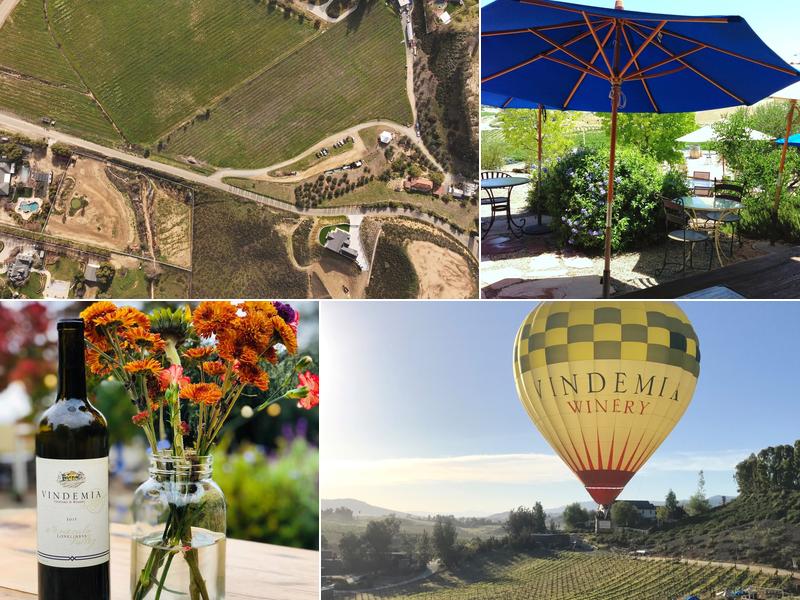 Vindemia Vineyard & Winery