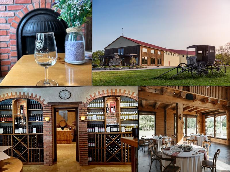 Holland Marsh Wineries