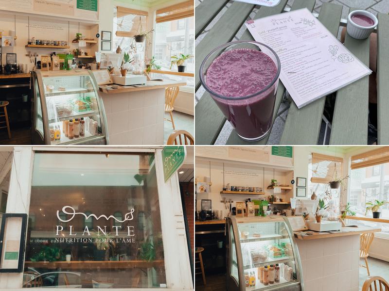 Om plante 456 Rue Principale O, Magog