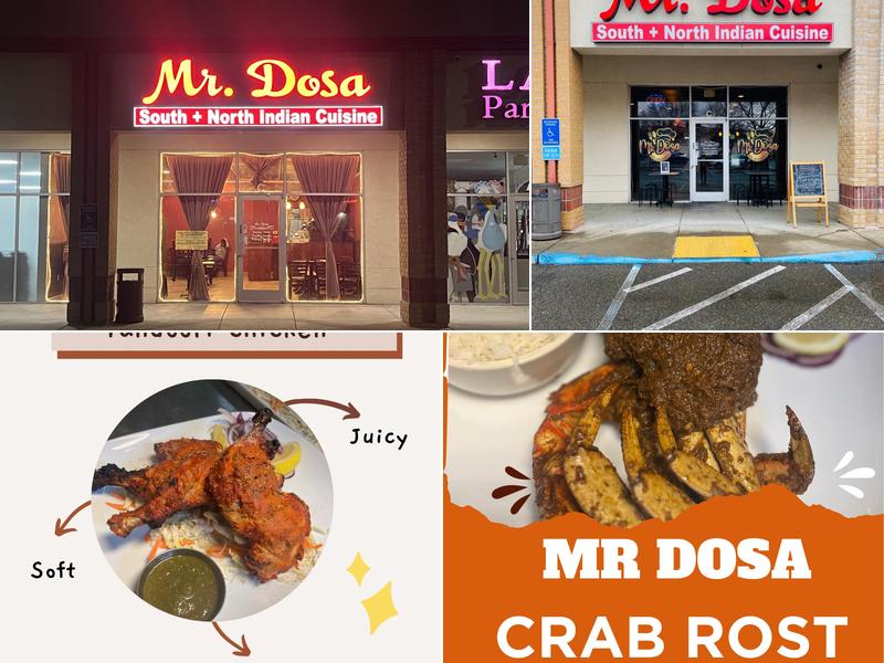 Mr. Dosa 9168 Franklin Blvd #5523, Elk Grove