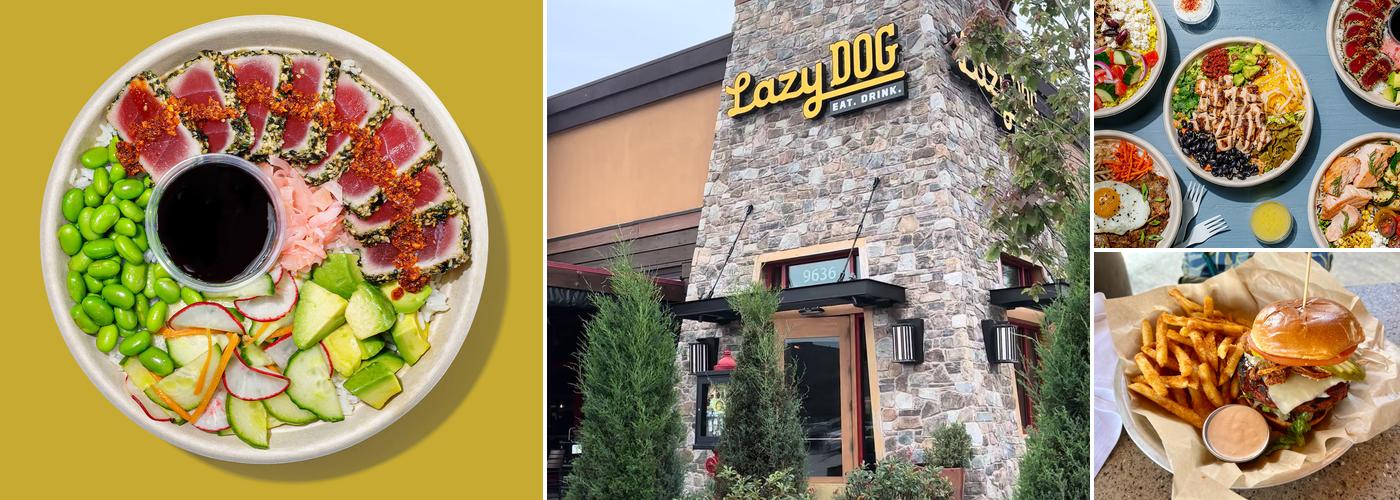 Roadtrip Bowls Made by Lazy Dog