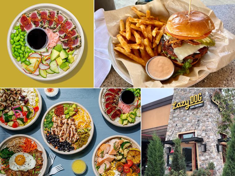 Roadtrip Bowls Made by Lazy Dog