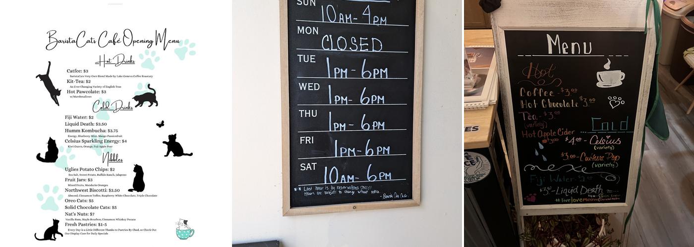 BaristaCats Café & Sanctuary for Wayward Cats Menu