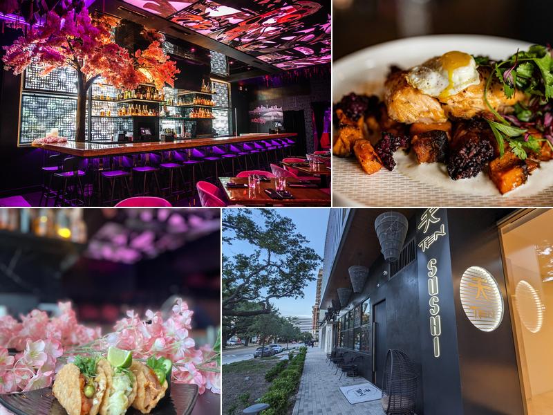 TEN Sushi + Cocktail Bar