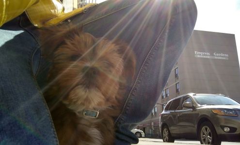 Brain Injury Association Peterborough Region