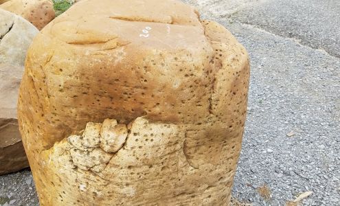 King Lawn Care 15 Mount Pleasant Rd, Kuttawa Kentucky 42055