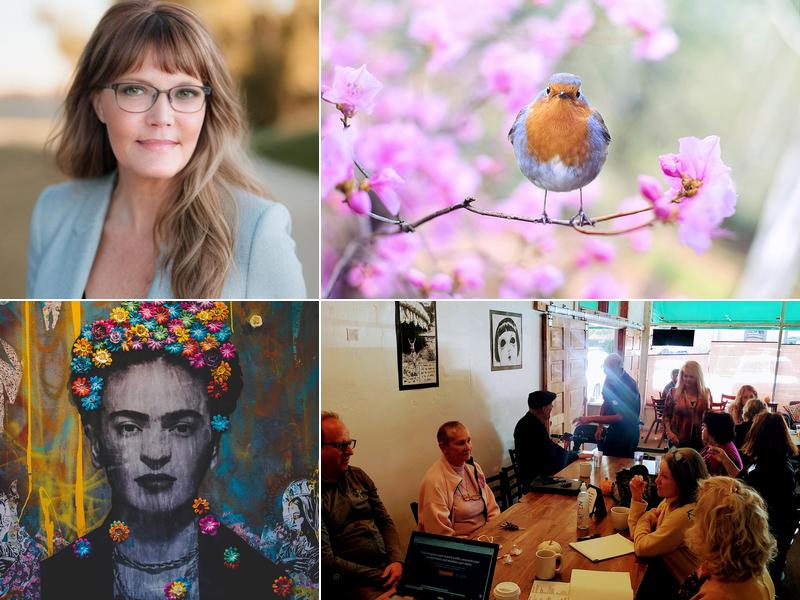 Reno SEO, Marketing & Web Design