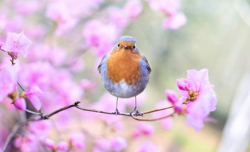 Reno SEO, Marketing & Web Design