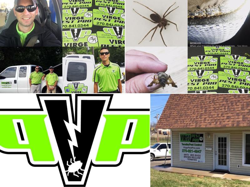 VIRGE PEST PRO