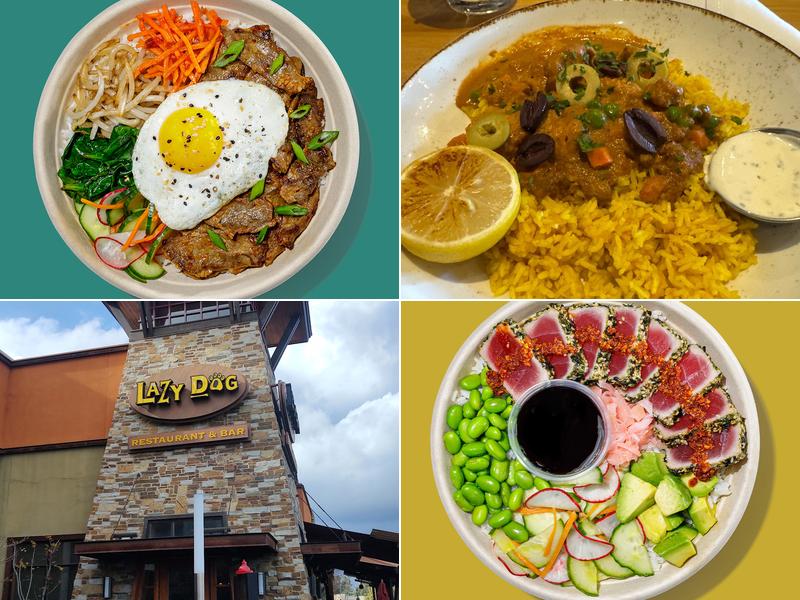 Roadtrip Bowls Made by Lazy Dog