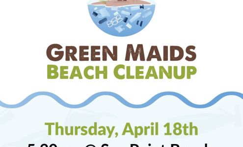 green maids cleaning services