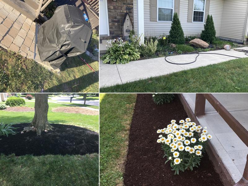 Blythe landscaping and property maintenance