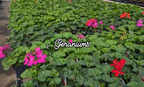 Interlake Homes 10301 9 Pth, Winnipeg Beach Manitoba R0C 3G0