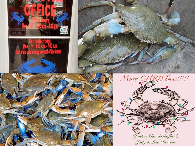 Yankee Canal Seafood