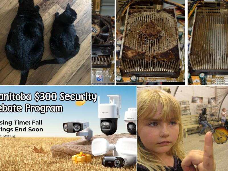 Anola Computer Repair Services