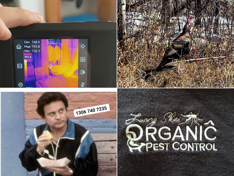 Living Skies Pest Control