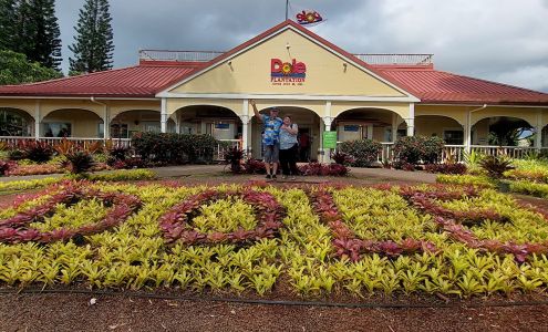 Dole/Tropical Fruits Distributors of Hawaii Inc.