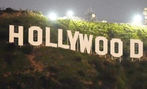 Hollywood Cleaning Services LLC