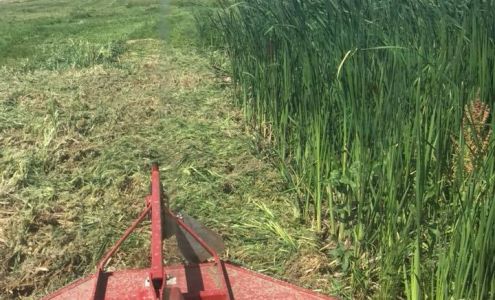 Brian’s Yard Care 62 10 St SW, Portage la Prairie Manitoba R1N 2P8