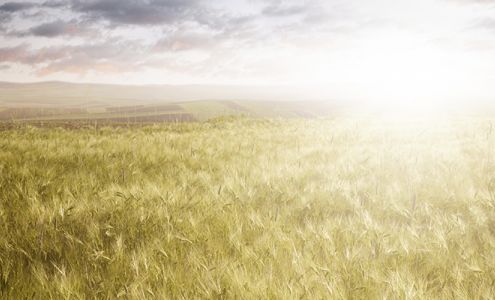 Hopkins Lawver Funeral Home