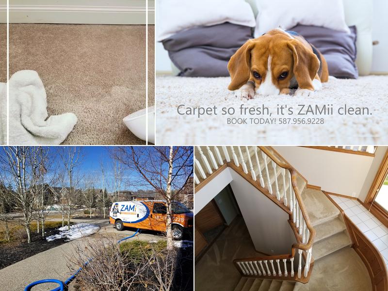 ZAMii PRO Home Services