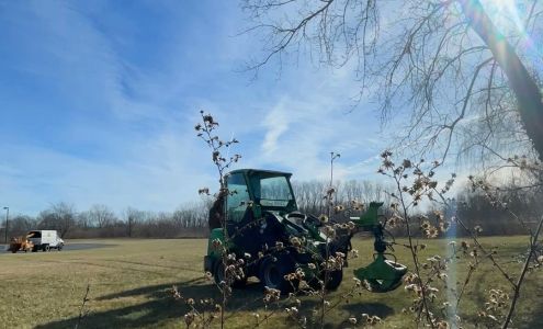 Bay Area Tree Care LLC 1093 E Maple St, Clyde Ohio 43410