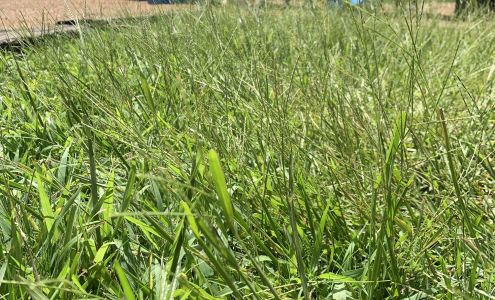 Loganville Christian Academy