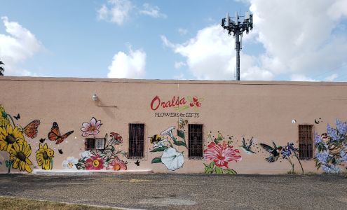 Oralia Flowers & Gifts McAllen