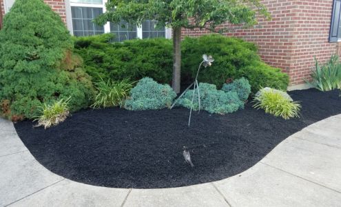 D2 Landscaping and Outdoor