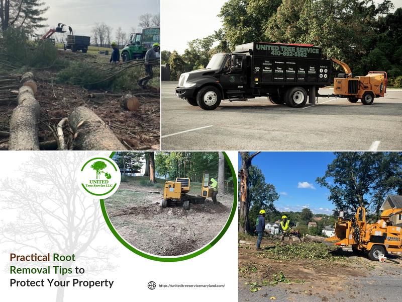 United Tree Service, LLC