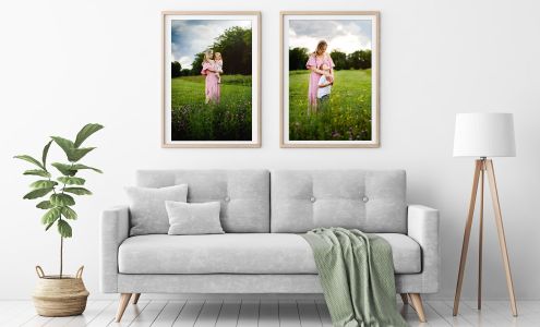 Sunshine and Shadows Photography