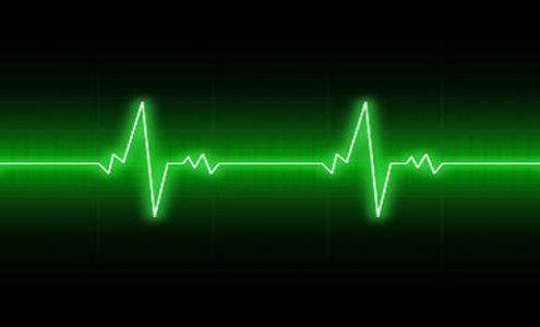 Doctors Of Dirt Landscaping Specialists