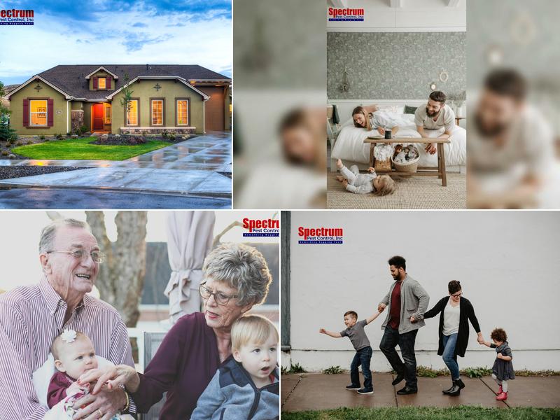 Spectrum Pest Control