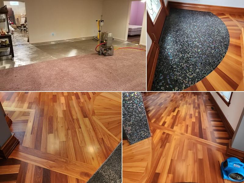 Xtreme Carpet Care LTD