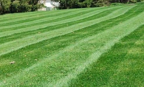 Quality Lawn Care