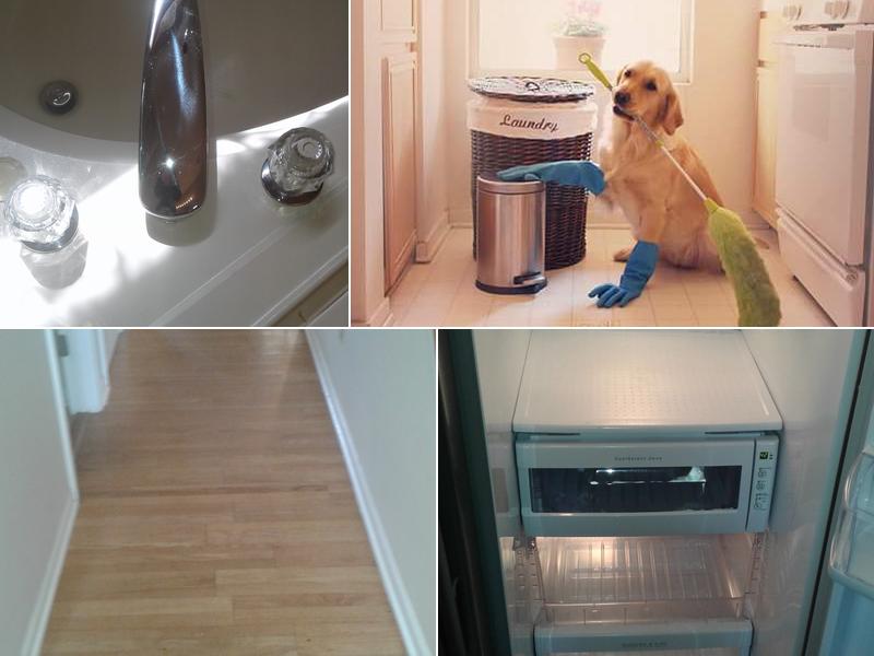 Bee Cleaning Services