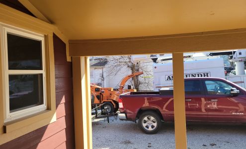 Asplundh Tree Expert Co